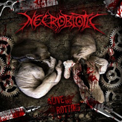 Into Necrobiotic by Necrobiotic