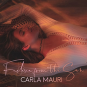 Fuchsia From The Sun