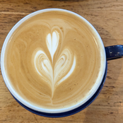 demos for your consideration