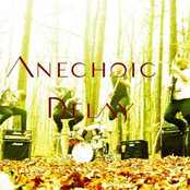 anechoic delay