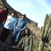 brant bjork and the bros