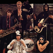 Bonzo Dog Doo-dah Band