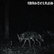 Wasteland (Single)