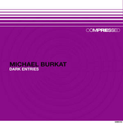 Dark Entries by Michael Burkat