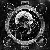 WVRM: Swarm Sound