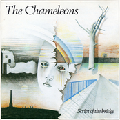 Monkeyland by The Chameleons