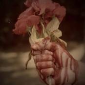 Carlton Deserves Flowers