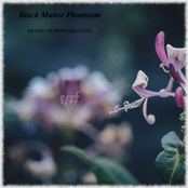 Dharma Flower Sequenzia