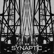 synaptic necropolis