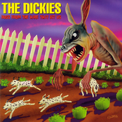 Solitary Confinement by The Dickies