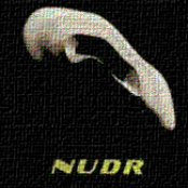 NuDR