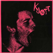 Flue by Kjøtt