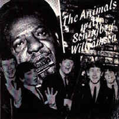 the animals & sonny boy williamson