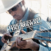 Take A Giant Step by Taj Mahal