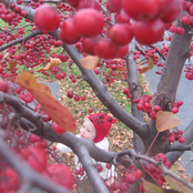 The Great Expanding Family