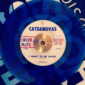 I Want To Be Loved / Flight Stewardess