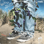 Where Did You Learn How To Fly?