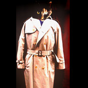 Tortoiseshell Male in... the Befuddling Mystery of the Moratorium