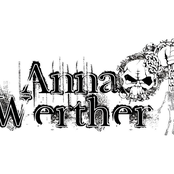 Anna Werther