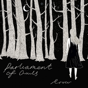 I Like To Think Of You As My Muse by Parliament Of Owls