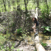 Imaginary Film Scores II