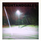 NIGHTANDGALES
