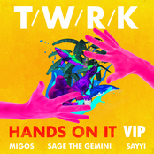 Hands on It (feat. Migos, Sage the Gemini & Sayyi) [VIP Remix]