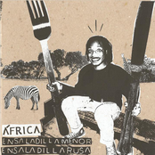 África / Ensaladilla Menor / Utensilios para el Almuerzo