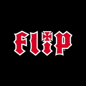 flip skateboards