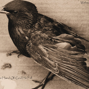 By The Hand of God He Fell