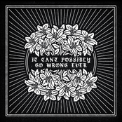 It Can't Possibly Go Wrong Ever