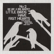 Little Birds Have Fast Hearts No. 2