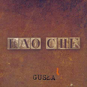 gusla