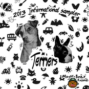 Terriers | 2013 International Sampler