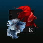 Shapeshifter vs The Upbeats [SSXUB] EP