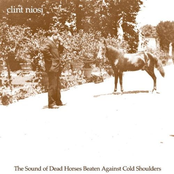 Clint Niosi: The Sound of Dead Horses Beaten Against Cold Shoulders