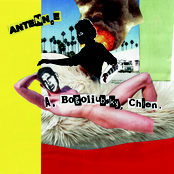 A. Bogoliubsky, Chien.