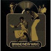 Brand New Wayo - Funk, Fast Times & Nigerian Boogie Madness 1979-1983