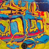 Die Langspielschallplatte