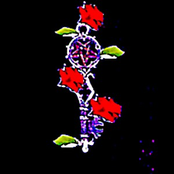 The hidden spheres of Leviathan