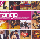 Beginner's Guide To Tango