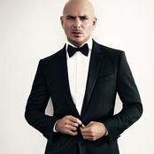 Pitbull