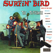 Surfin' Bird