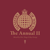 Ministry of Sound: The Annual II - Mixed by Pete Tong & Boy George (DJ Mix)