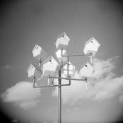 I Want to Tell My Heart to You