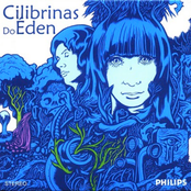 Festival Divino by Cilibrinas Do Éden