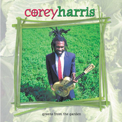 Corey Harris: Greens from the Garden