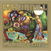 Drill In The Bush by Mandrill