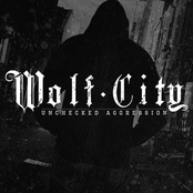 Unchecked Aggression