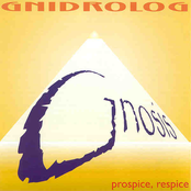 Bells Of Prozac by Gnidrolog